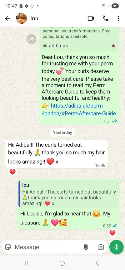 adiba-review-slide -18